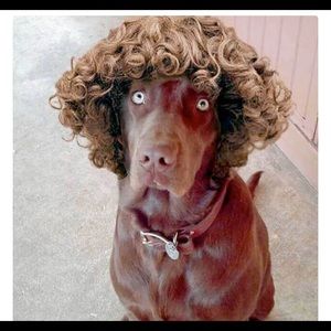 Meet your Posher, Kiara